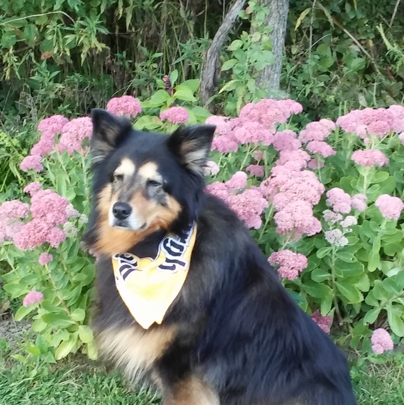 Meet your Posher, Janice - Picture 2 of 4